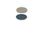 Prostripe Dual Specialty Colors 5/16" x 150' Charcoal Metallic/D