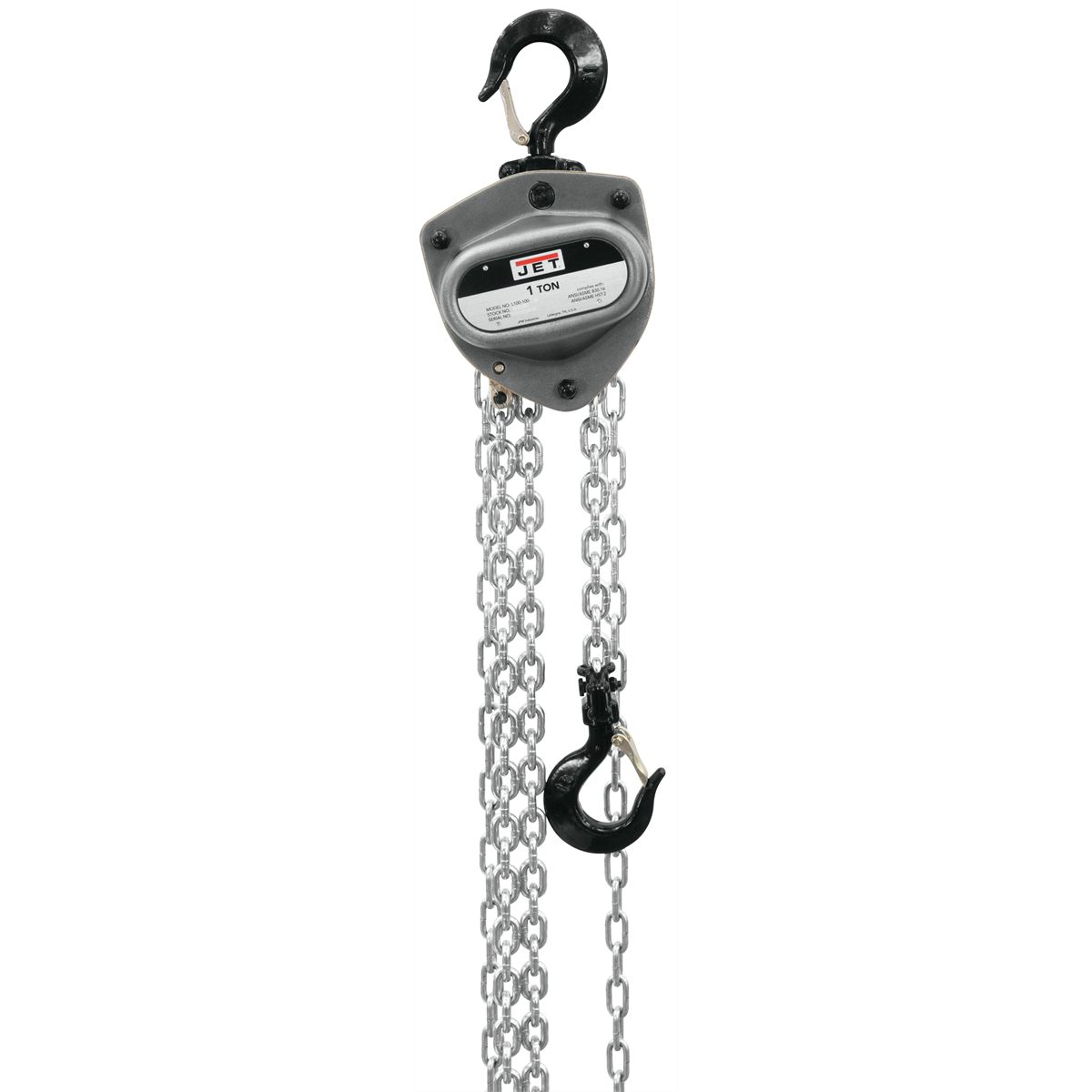 L100-100-20 1 Ton Hoist with 20' Lift