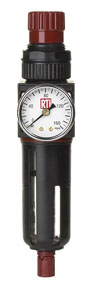 FILTER/REGULATOR WITH GAUGE