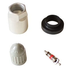 Service Kits for Schrader Gen 2/3