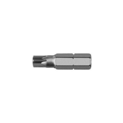 1/4" SHANK T25 INSERT BIT