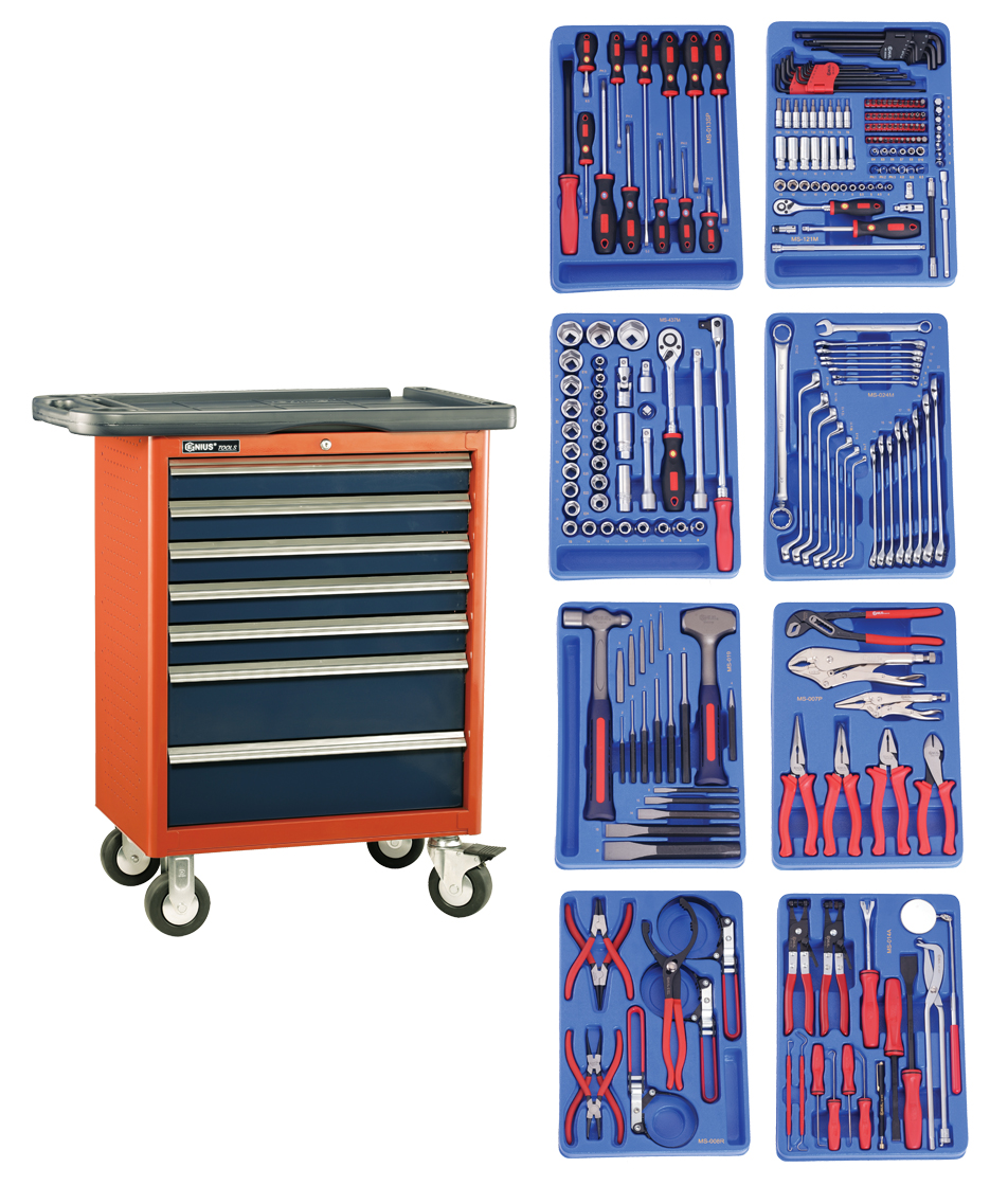 243PC Metric Mechanics Tool Set with Roller cabine