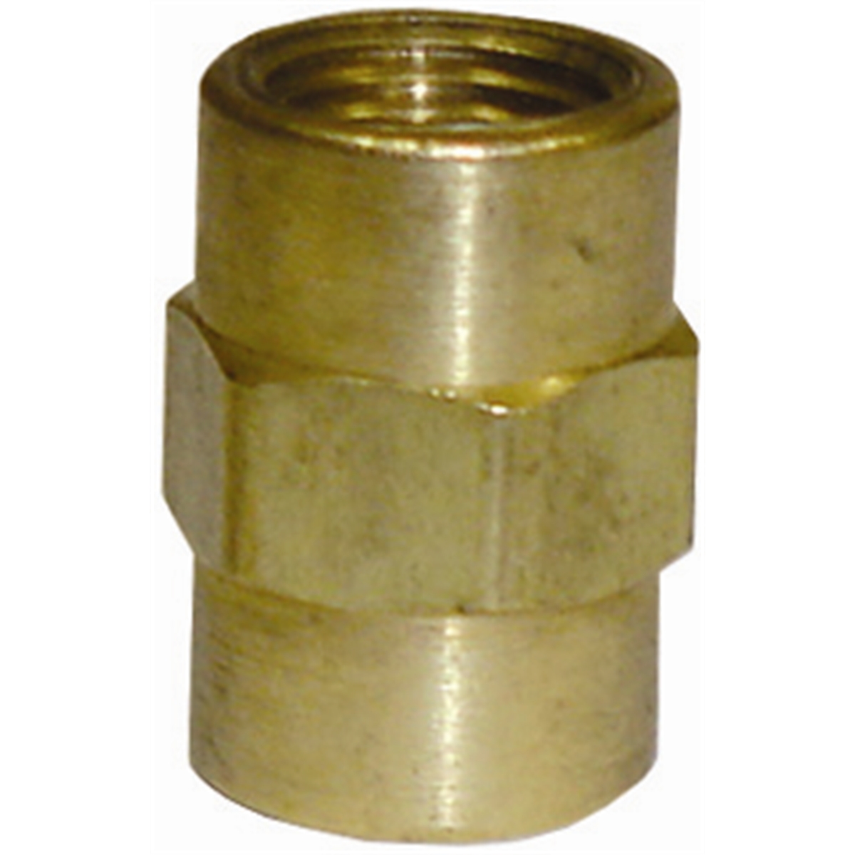 1/8" Pipe Thread Coupling Brass Fitting