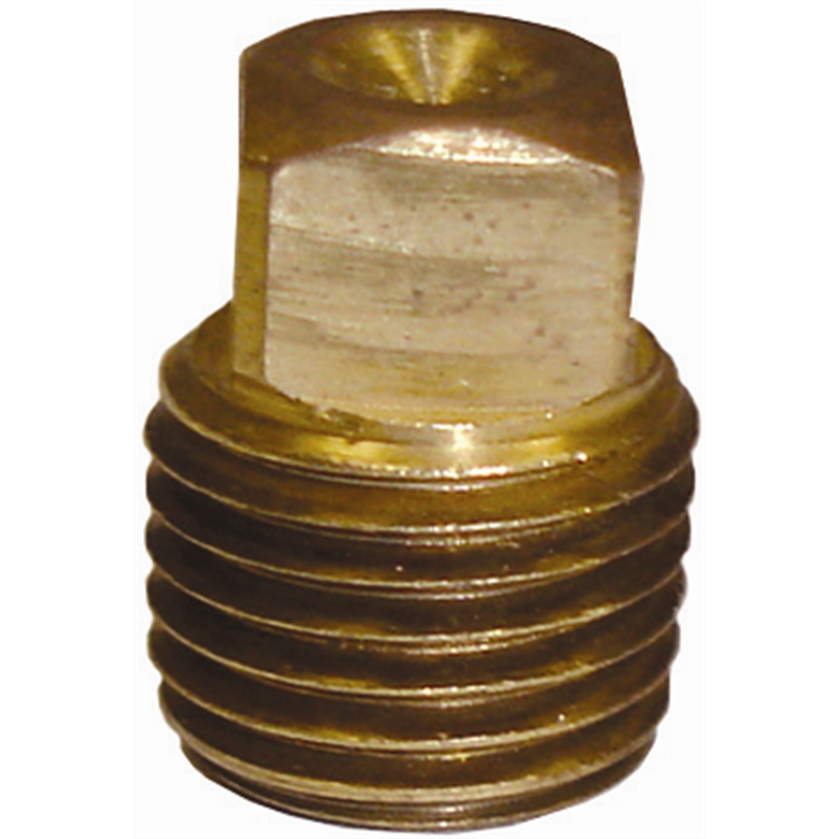 1/4" Pipe Thread Plug Brass Fitting