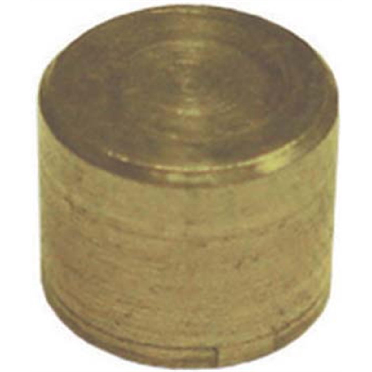 Brass Plug 5/16" (Bag of 50)