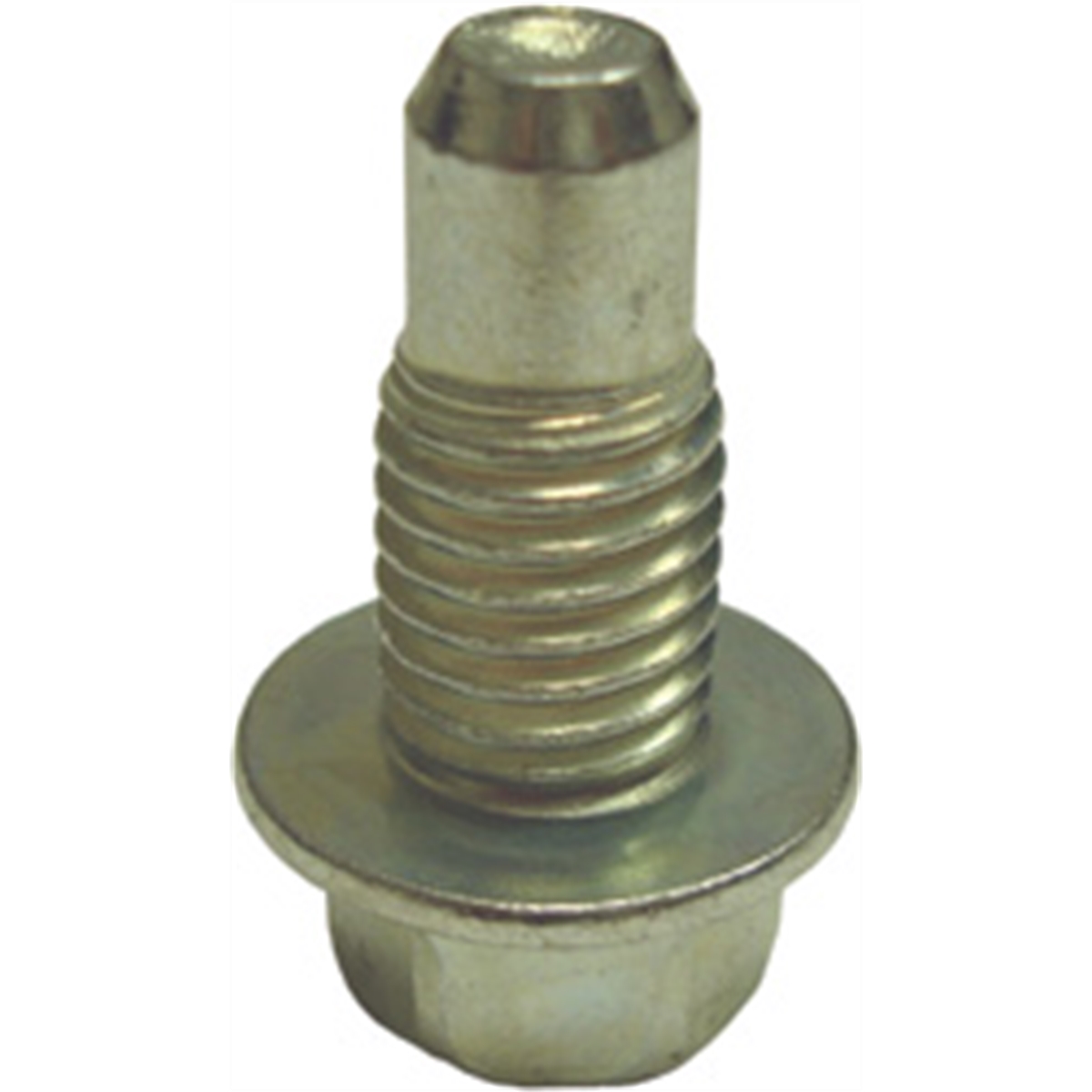 Drain Plug 12mm - 1.75 Dog Point Zinc Plate