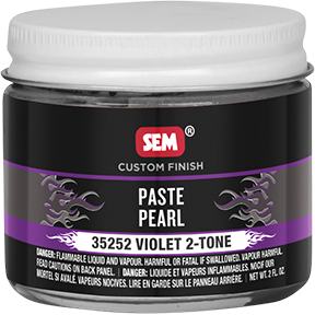 Color Horizons 2 Oz Paste Pearls - Violet 2-Tone