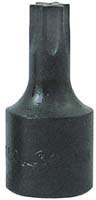 1/4 In Drive Torx Socket - T-25