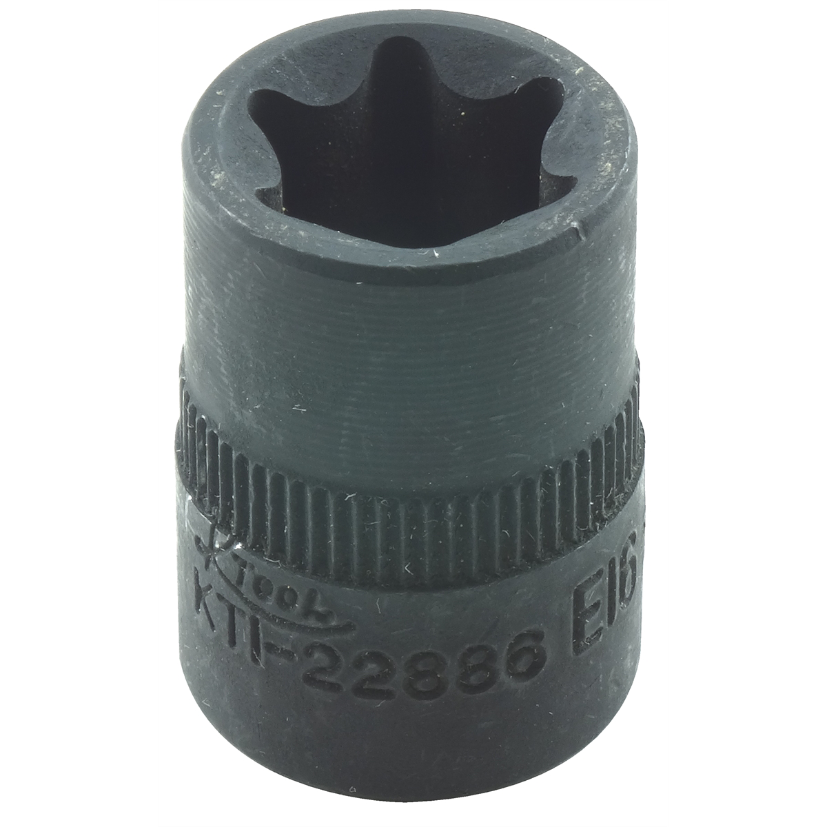 External Torx Socket - 3/8 In Drive - E-16