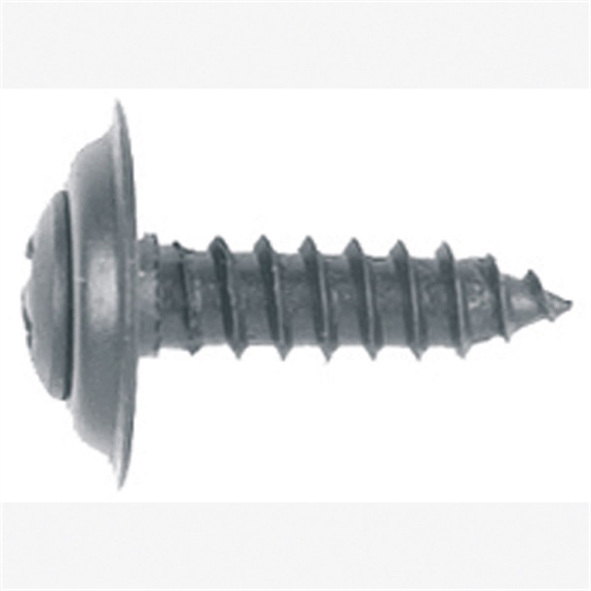 Phillips Oval Head Trim Screw