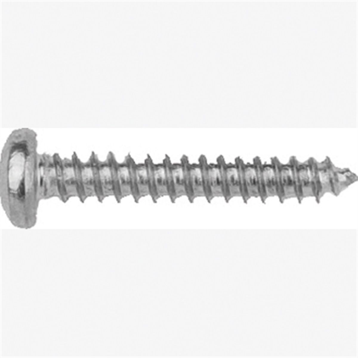 Met Torx Tim Screws-GM 10 Pc