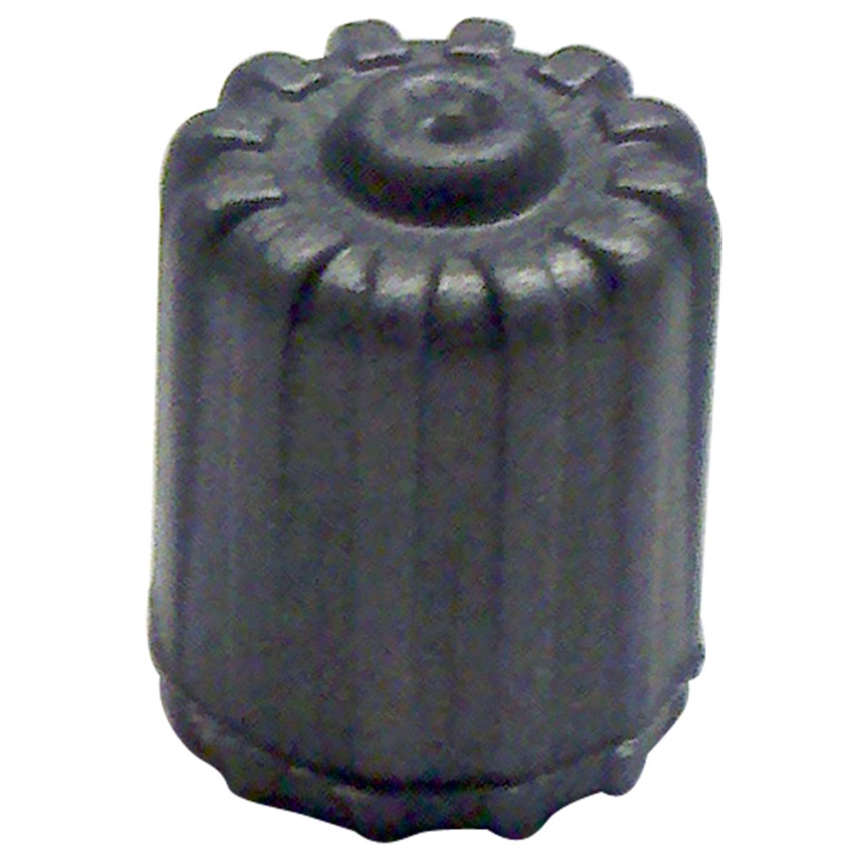 Valve Cap - Nylon (Grey)