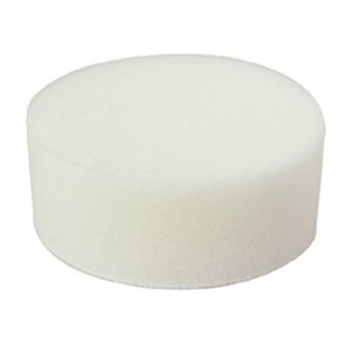 3 In Polishing Foam Pad - White