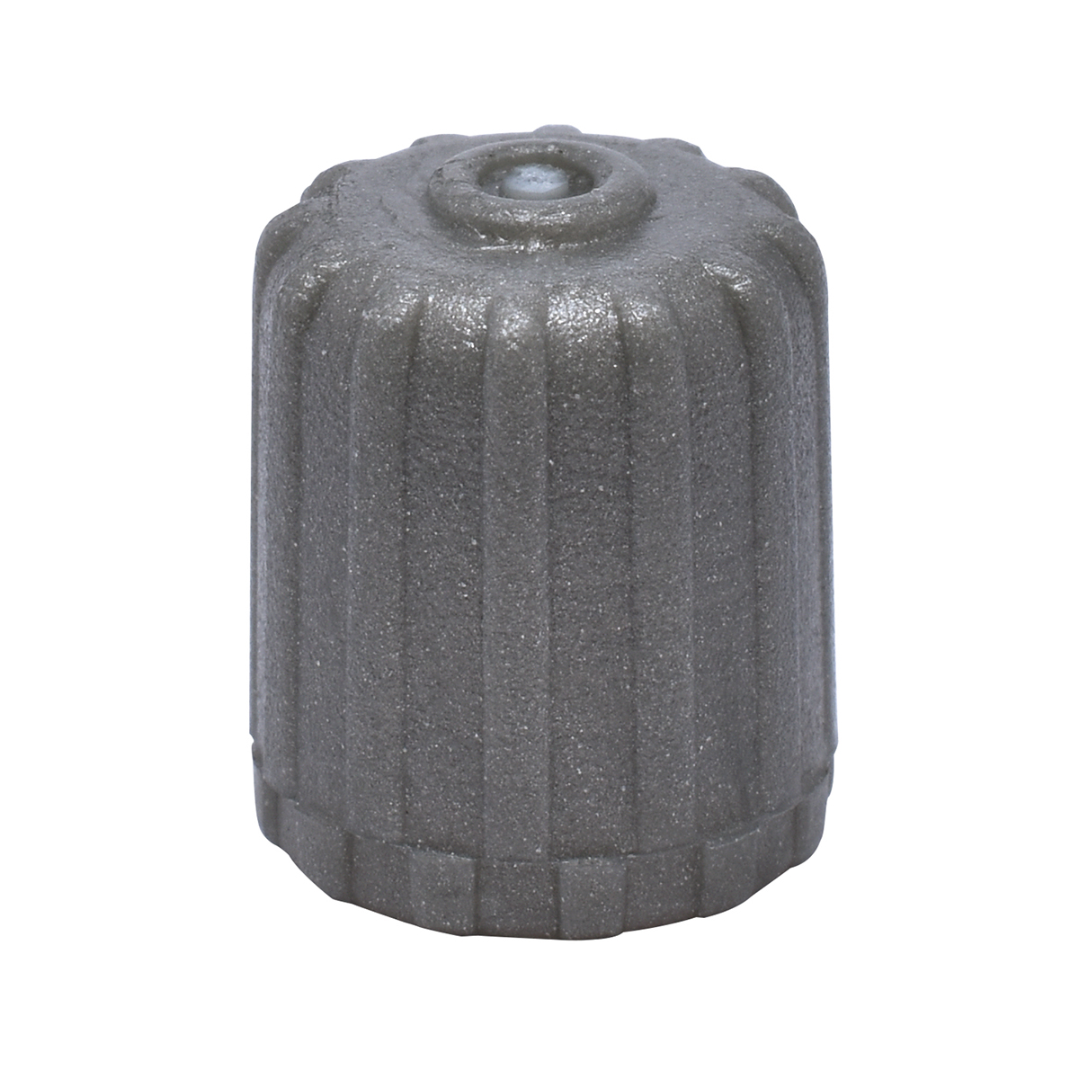 TPMS VALVE CAP PACK - 100