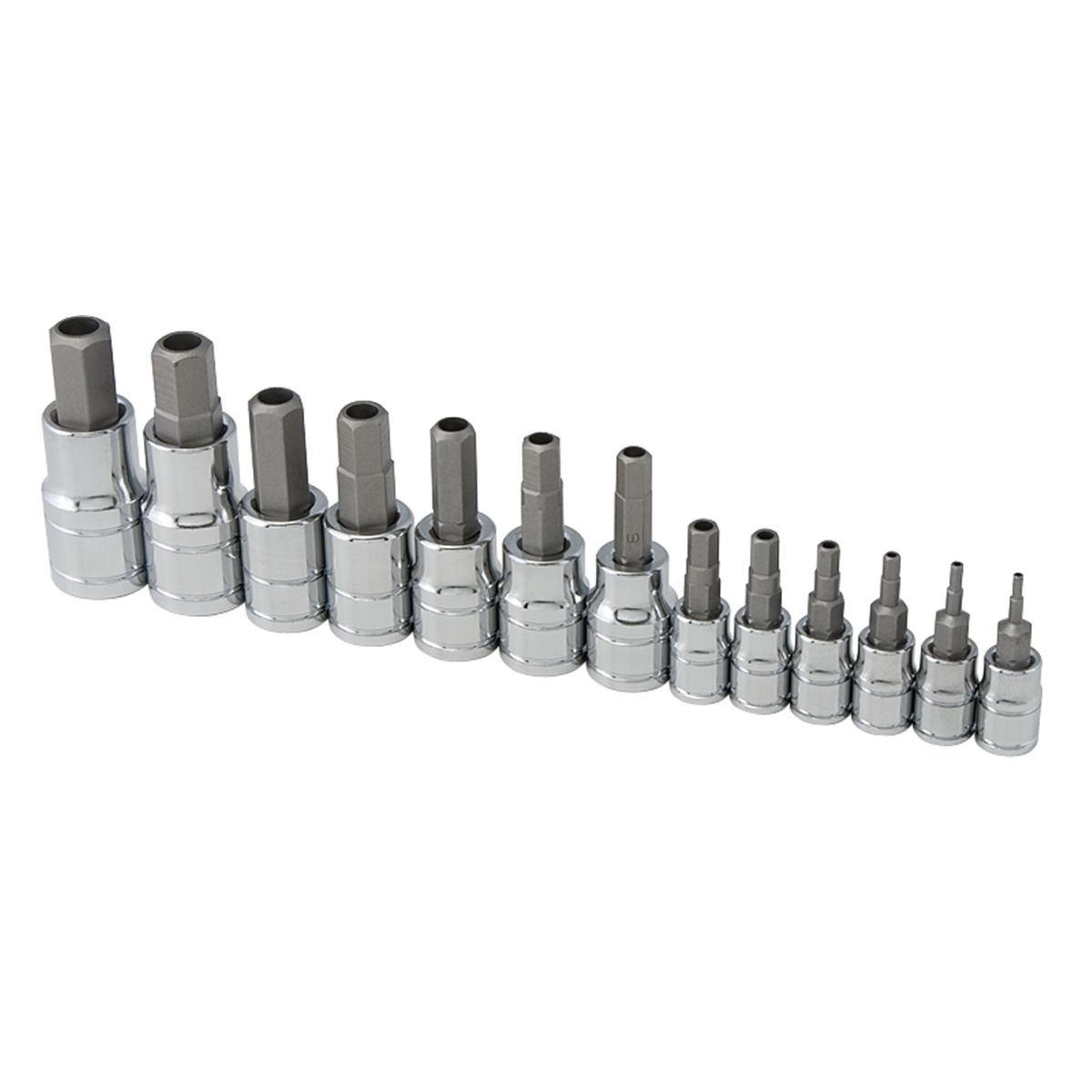 13pc TR MM Hex Bit Socket Set W/Rail