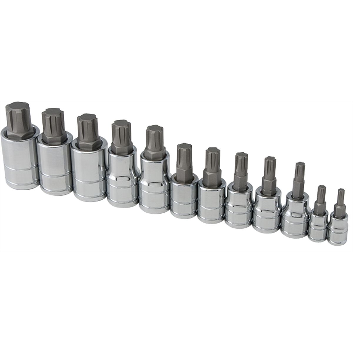 12pc Ribe Bit Socket Set