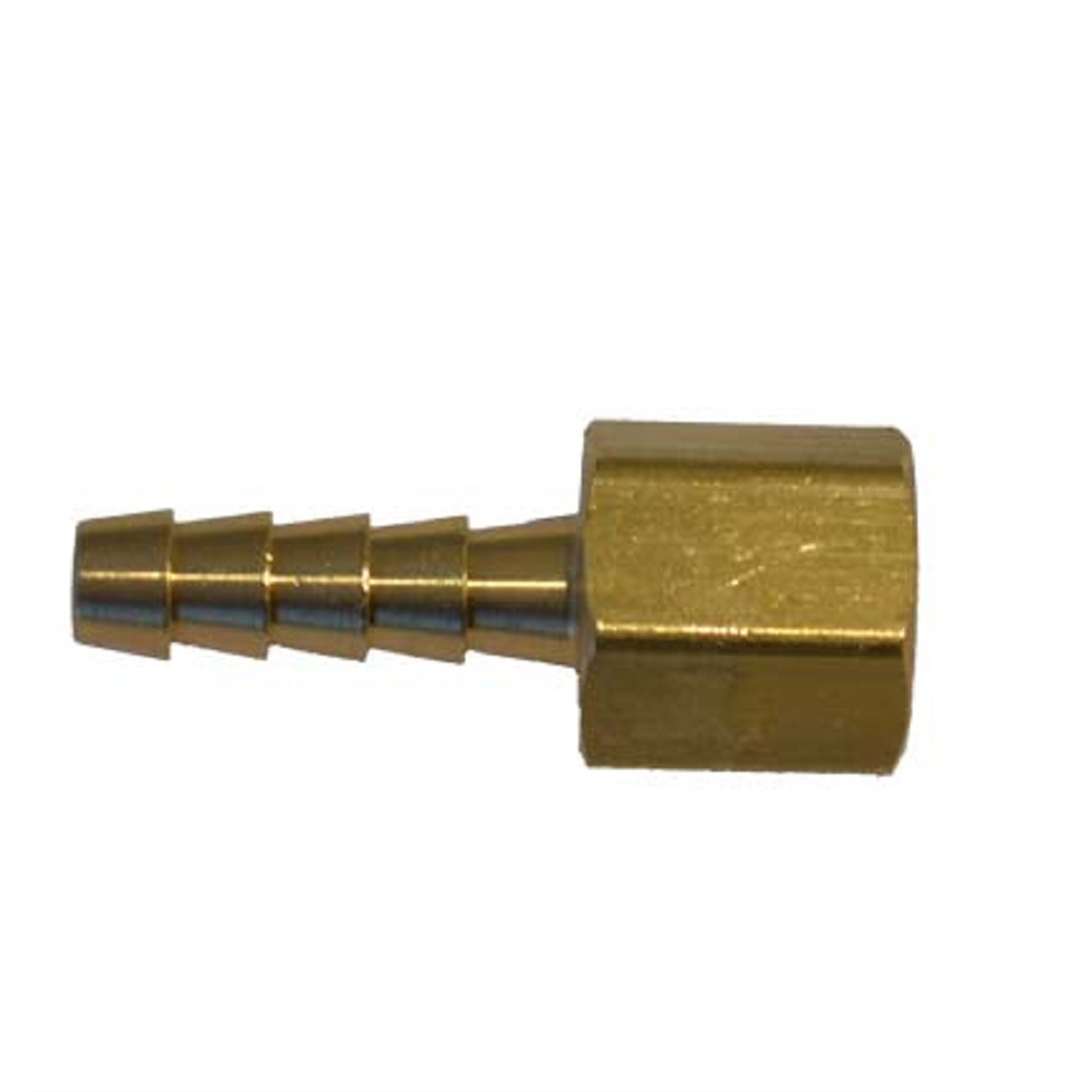 1/4" NPT Female