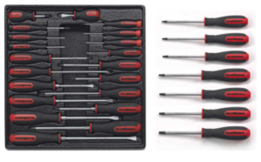 Screwdriver and Torx Promo