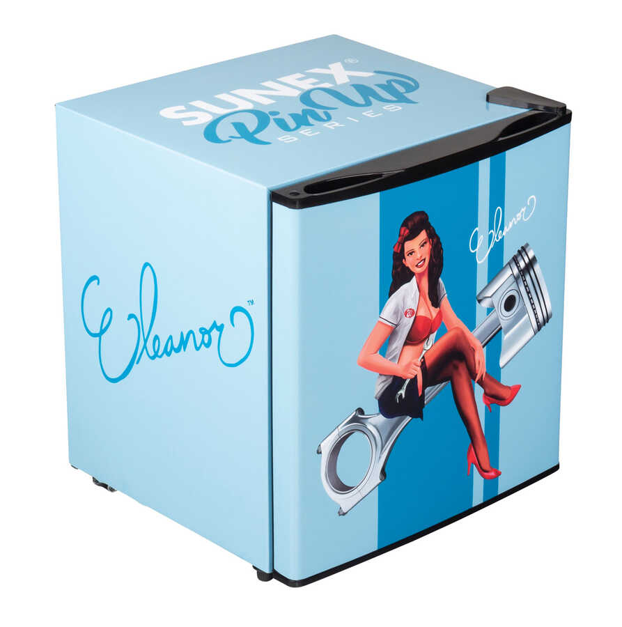 ELEANOR PINUP 1.7 FRIDGE