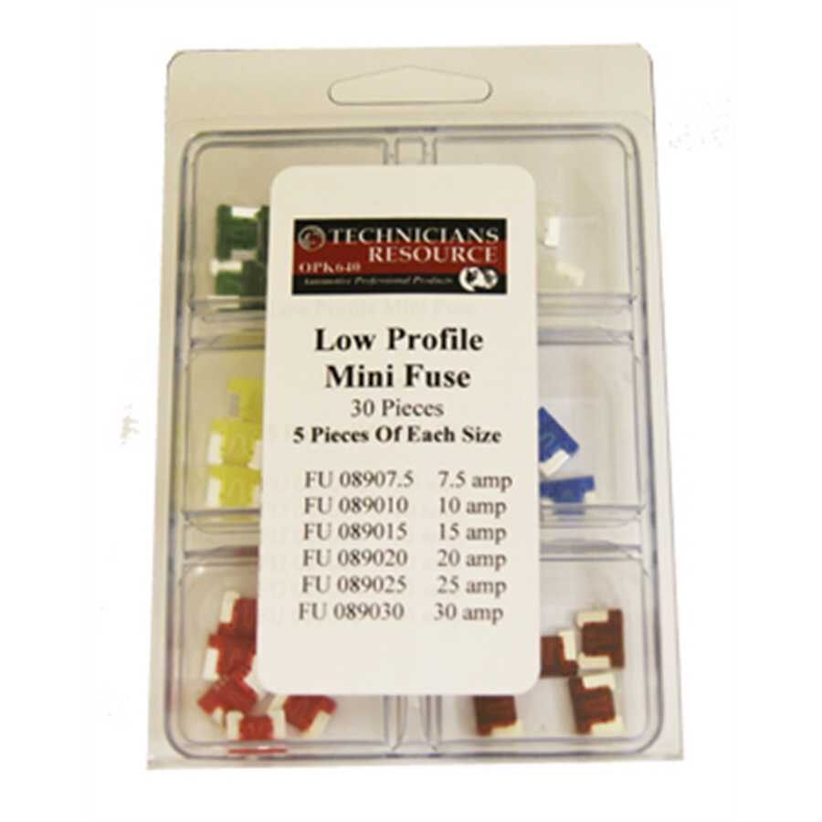 Low Profile Mini Fuse Assortment (30-pc)