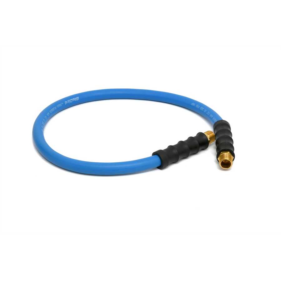 BluBird Lead-in Hose 1/2 in. x 3 ft. w/ 1/2 in. NP