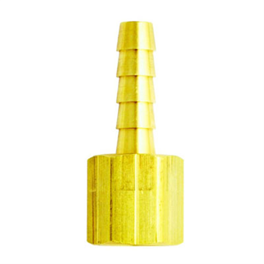 Brass Hose End Female Non-Swivel 5/16 In ID