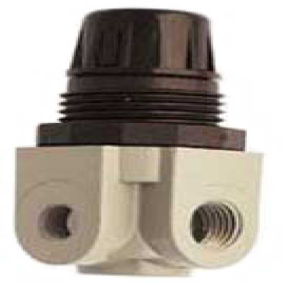 Mini Heavy Duty Regulator 1/4 In NPT