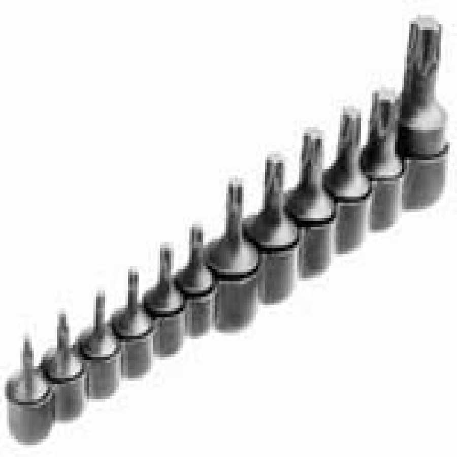 1/4, 3/8 & 1/2 In Drive Torx Bit Set - 12 Pc