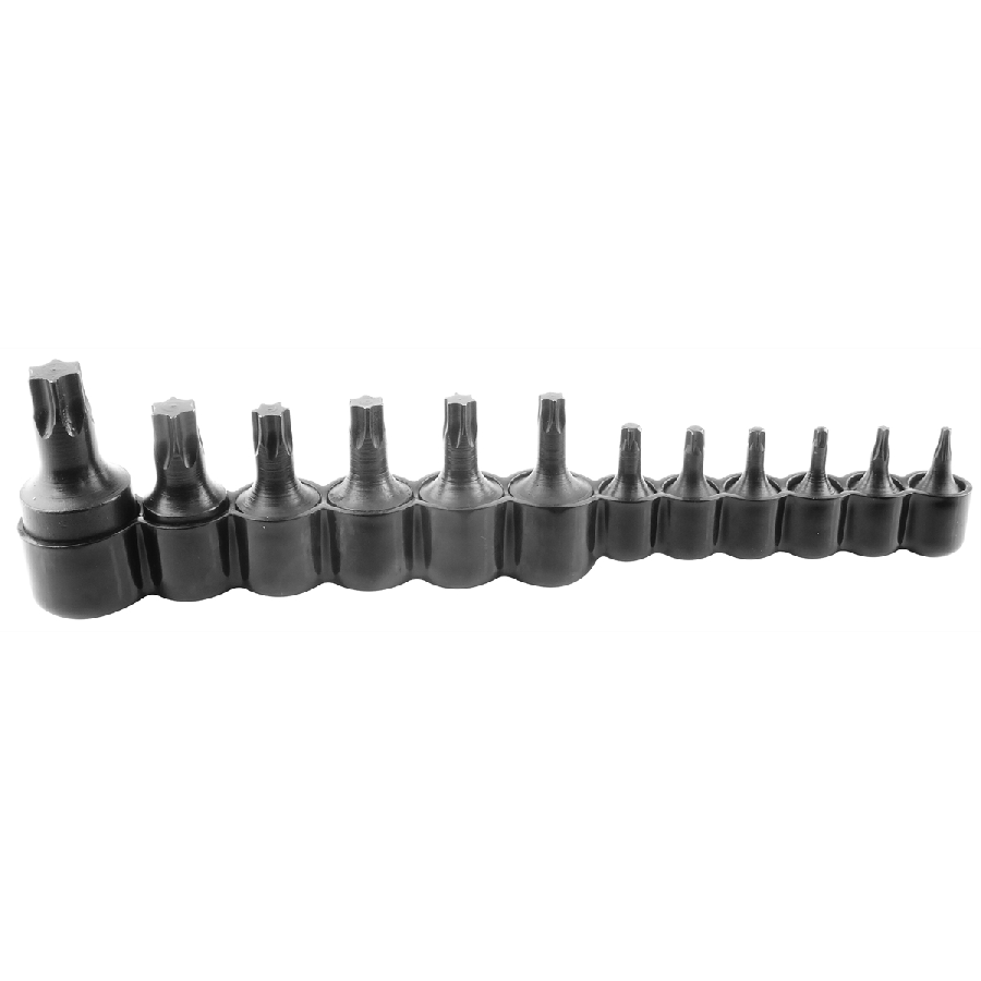 Torx Bit Set - 12 Piece