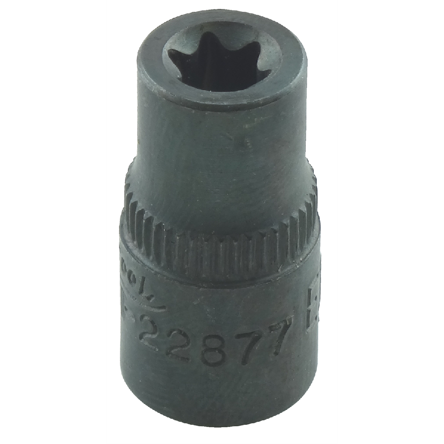 External Torx Socket - 1/4 In Drive - E-7