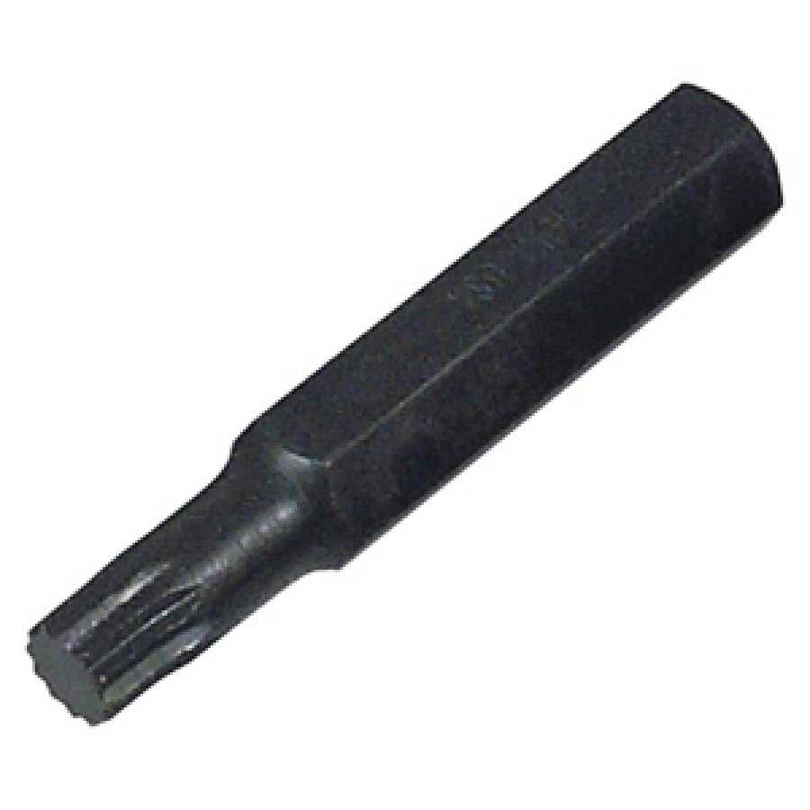 12 Point 10mm Wrench Bit