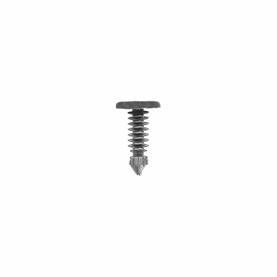 2-WEATHERSTRIP FASTENER GM/FOR