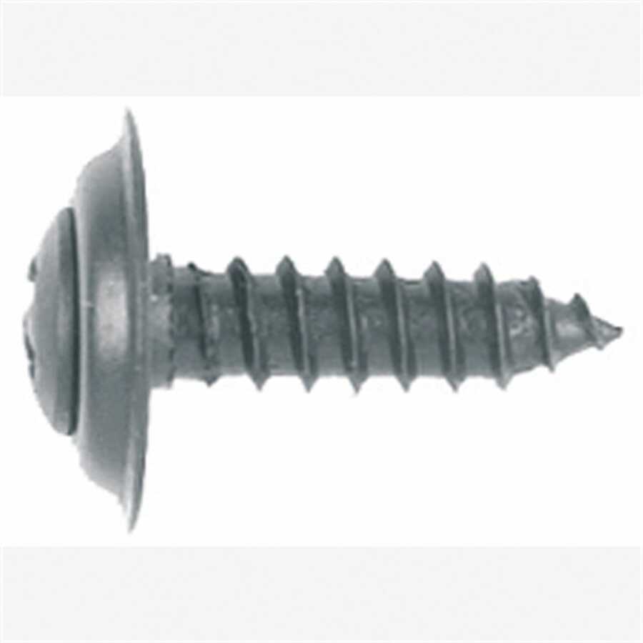 Phillips Oval Head Trim Screw