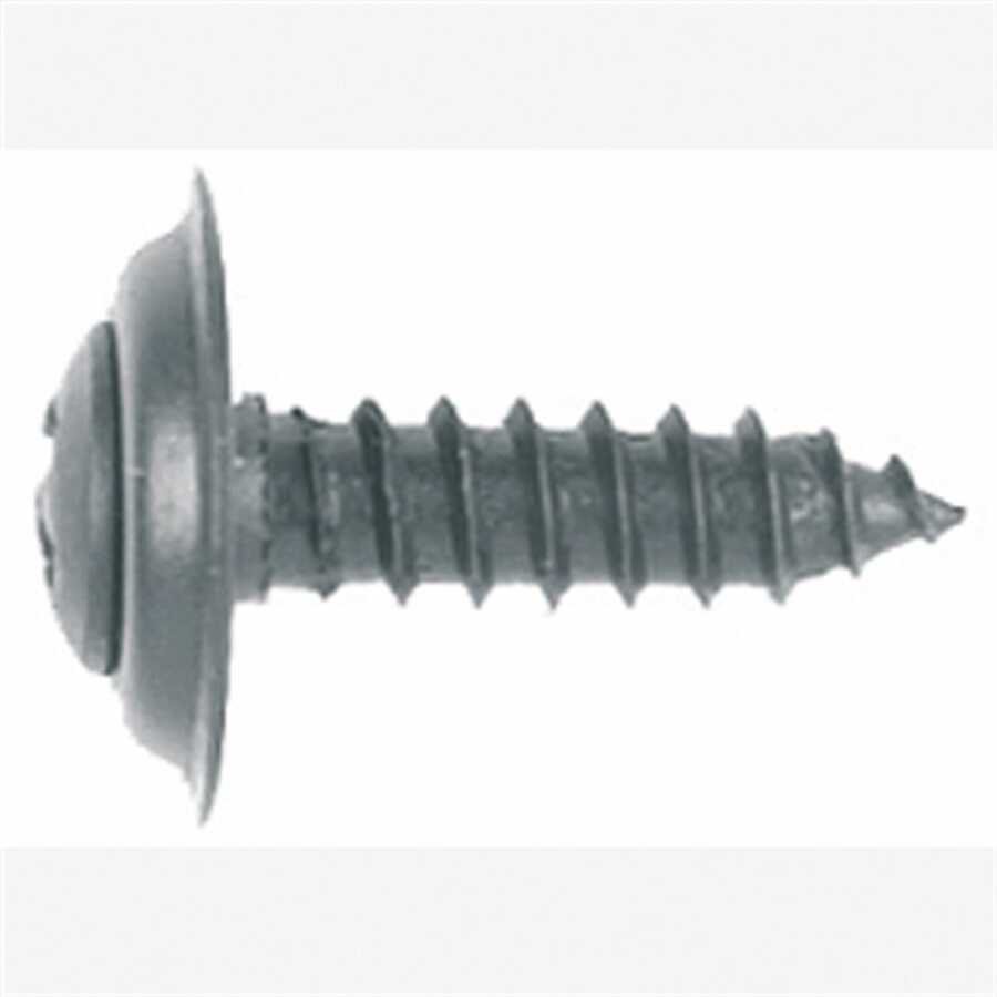 Phillips Oval Head Trim Screw