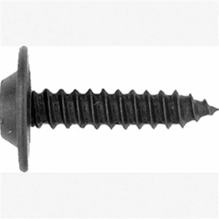 Ph Black Trim Screw 10 Pc.