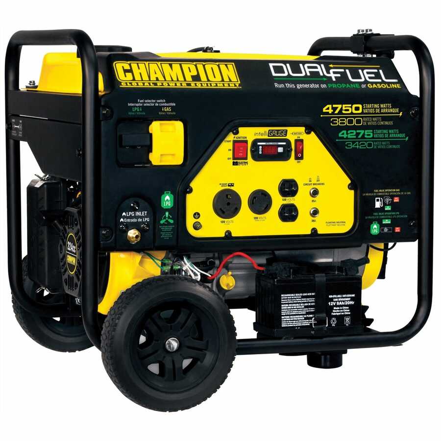 Champion 3800 Watt Dual Fuel Portable Generator