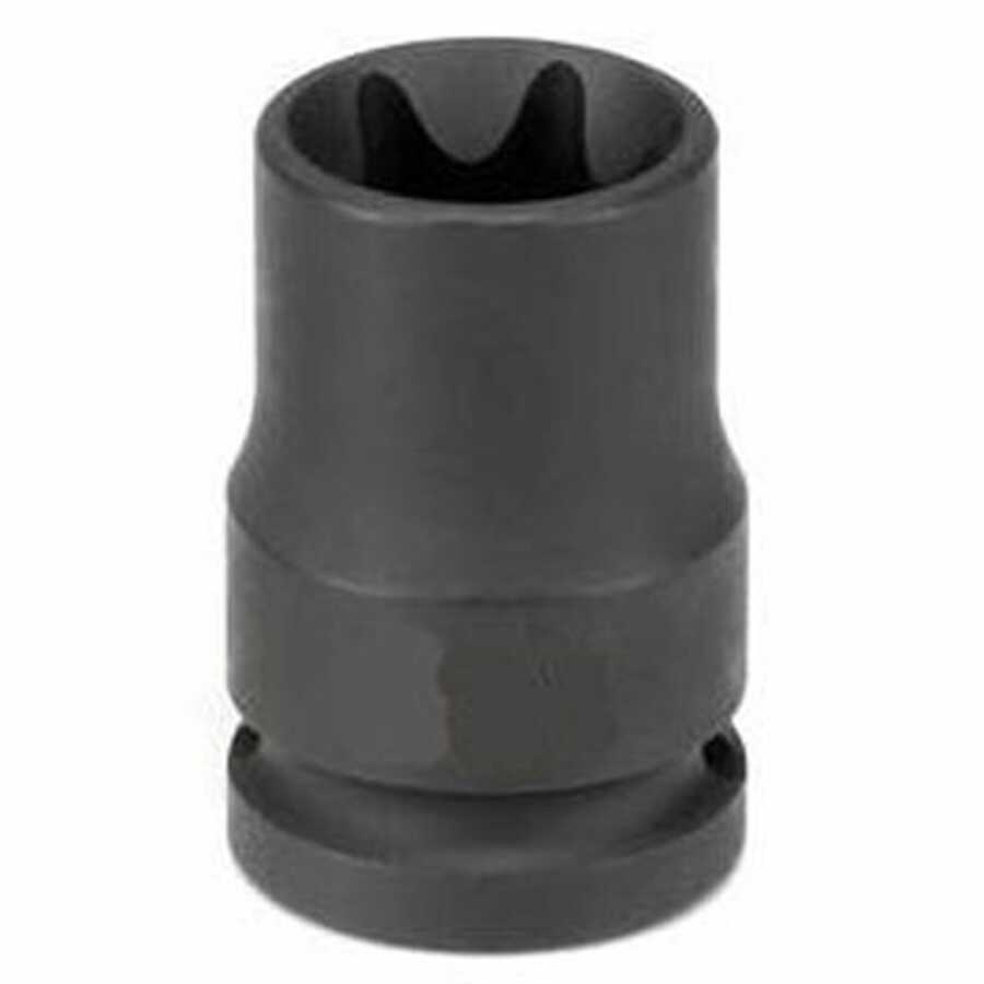 1/2" Drive x E12 External Torx Impact Socket