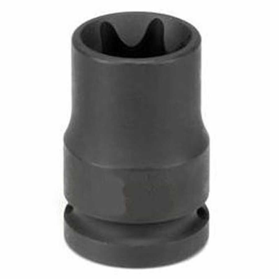 1/2" Drive x E16 External Torx Impact Socket