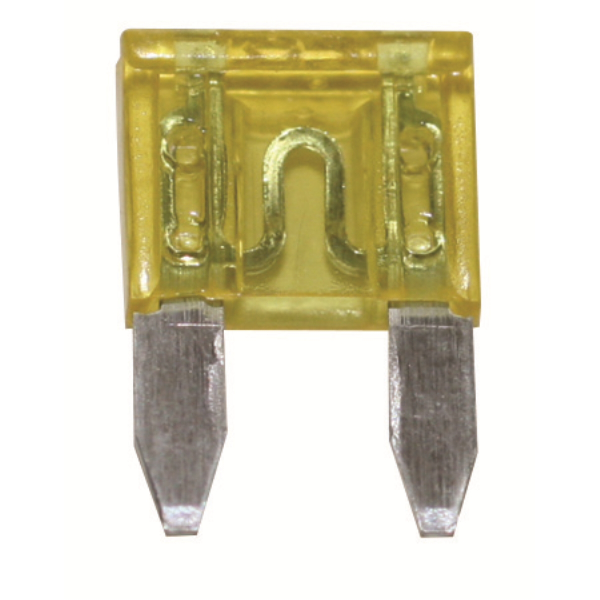 25 Amp Clear Mini Fuse