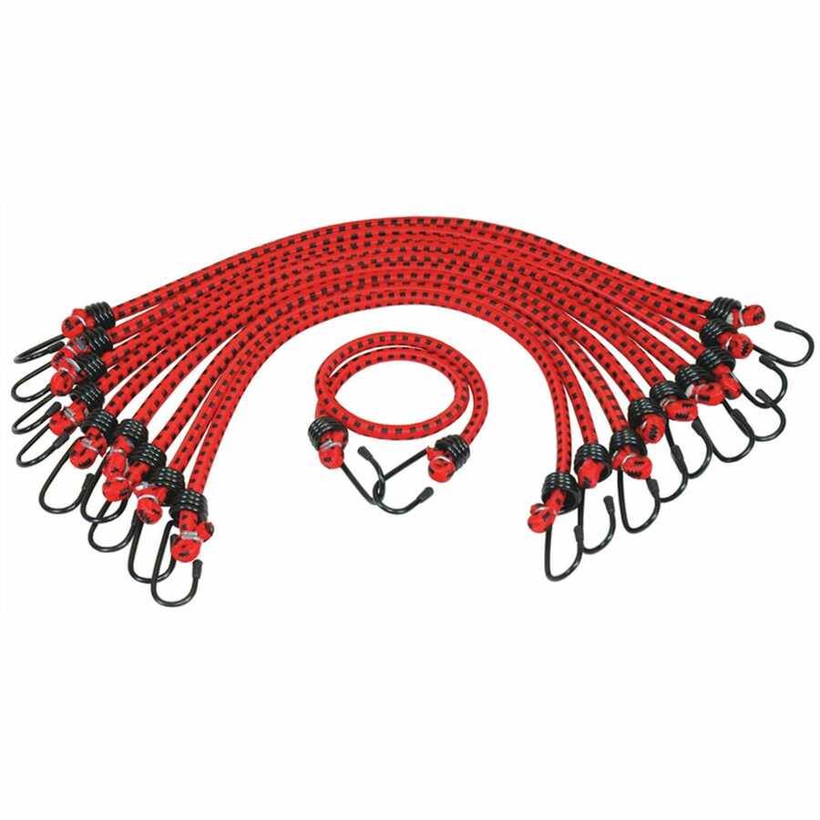 Bungee Cord GP 3/8 x 24 In 10/Pk