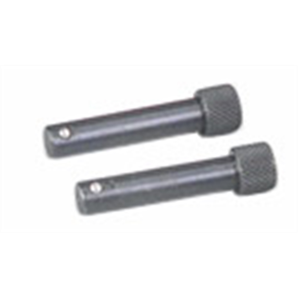 2PC DETENT PIN SET