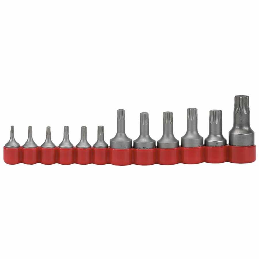 TORX bits - Magnum