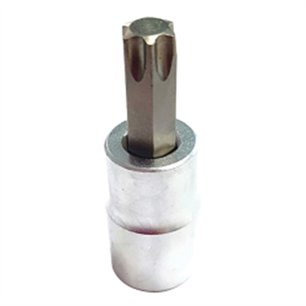 T40 Torx Bit, Satin chrome 3/8 sq dr bit holder