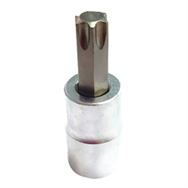 T47 Torx Bit, Satin chrome 3/8 sq dr bit holder