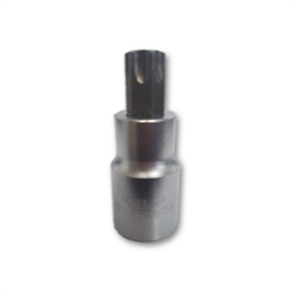 T55 TORX. 1/2" SQ DRV BIT