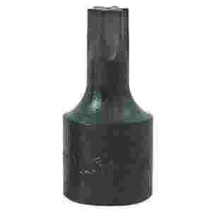 3/8 Inch Drive Torx Bit Socket - T-55