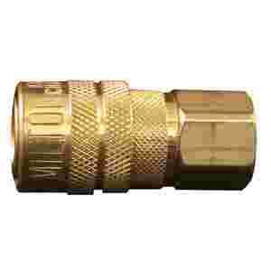 Air Coupler Female 1/4 In NPT