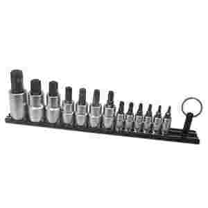 13pc. Torx Driver Set on Black Magrail